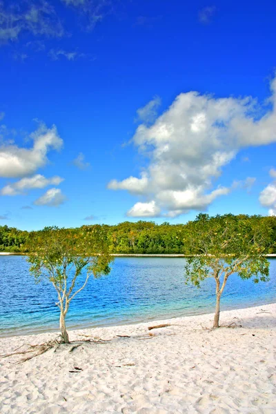 Fraser Island, Austrália é a maior ilha de areia do mundo — Fotografia de Stock