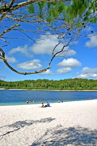 Fraser Island, Australia è la più grande isola di sabbia del mondo — Foto Stock