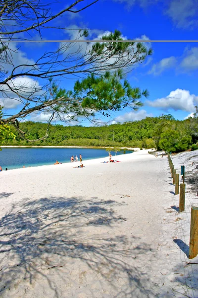 Fraser Island, Australien är den största sand ön i världen — Stockfoto