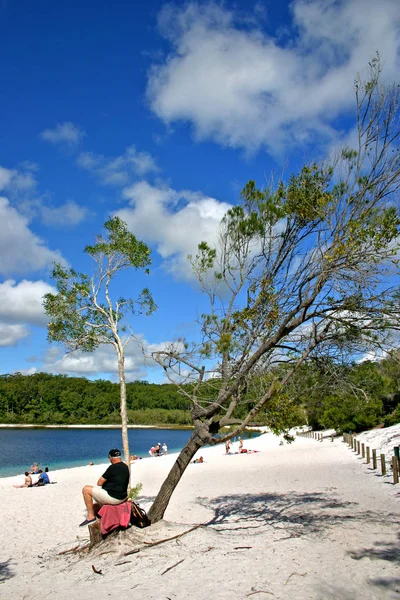 Fraser Island, Australia Dünya'nın en büyük kum Adası olduğunu — Stok fotoğraf