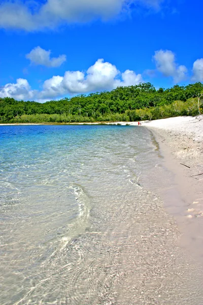 Fraser Island, Australia è la più grande isola di sabbia del mondo — Foto Stock