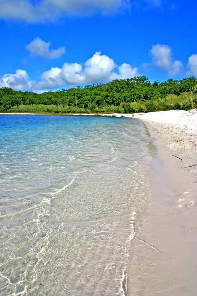 Fraser Island, Australia è la più grande isola di sabbia del mondo — Foto Stock