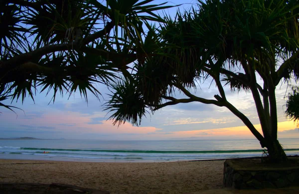 努萨维尔，阳光海岸澳大利亚 — 图库照片