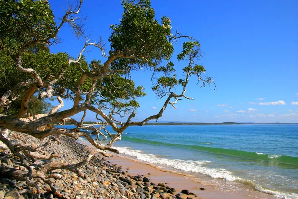 Noosaville, Sunshine Coast, Ausztrália — Stock Fotó