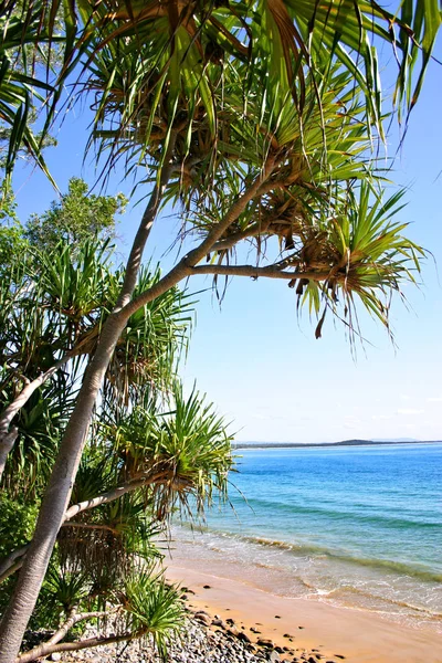 Noosaville, Sunshine Coast, Austrália — Fotografia de Stock