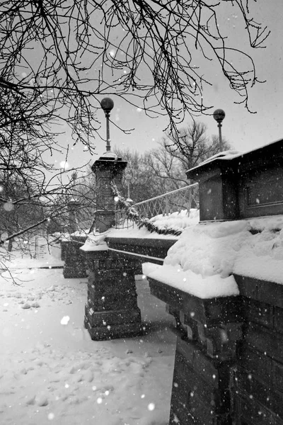 На тлі сніжної зими в Бостоні, масонетті, уса. — стокове фото