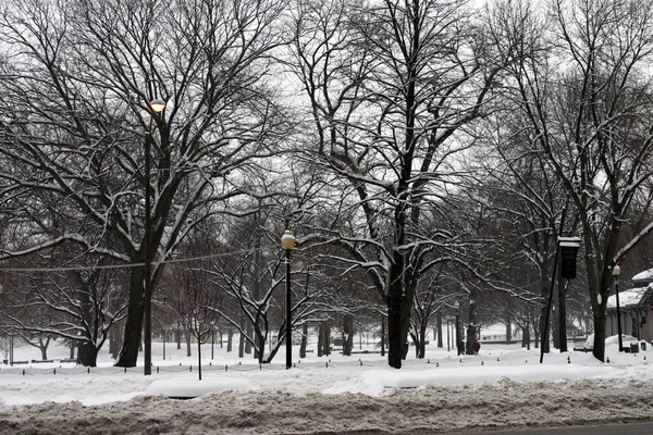 Stock imagen de un invierno nevando en Boston, Massachusetts, EE.UU. —  Fotos de Stock