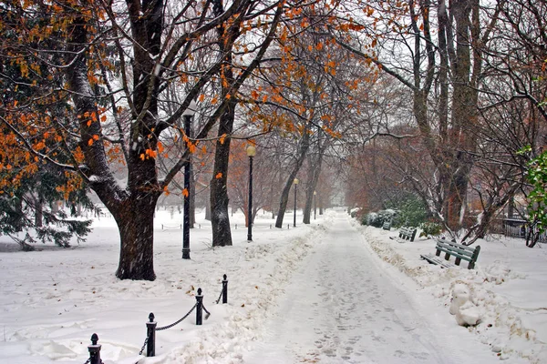 Stock bild av en snöande vinter vid Boston, massachusetts, usa — Stockfoto