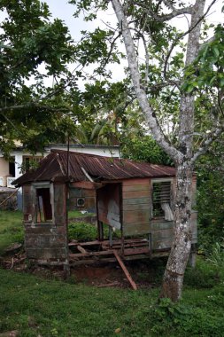 Croydon Plantation, Jamaica