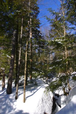 Havzası, New Hampshire