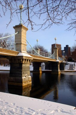 Boston kış stok görüntü