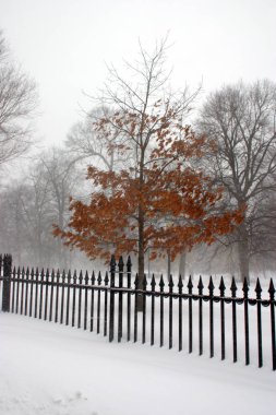 Boston kış stok görüntü