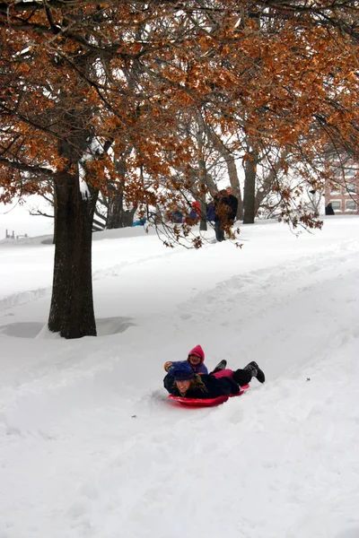 Archivbild vom Boston Winter — Stockfoto