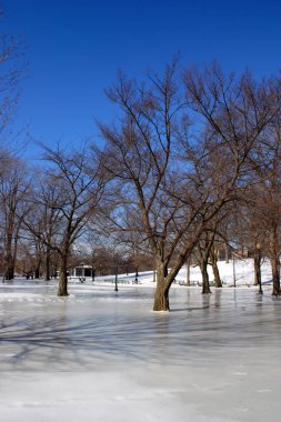 Boston kış stok görüntü