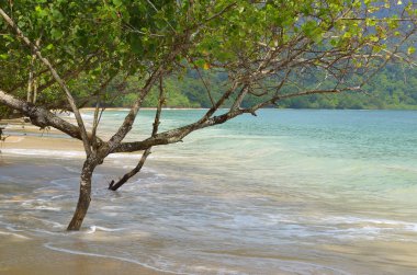 Langkawi Adası, Malezya
