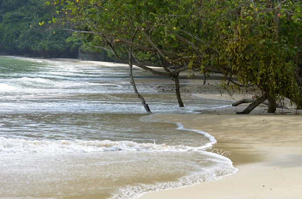 Στο νησί Langkawi, Μαλαισία — Φωτογραφία Αρχείου