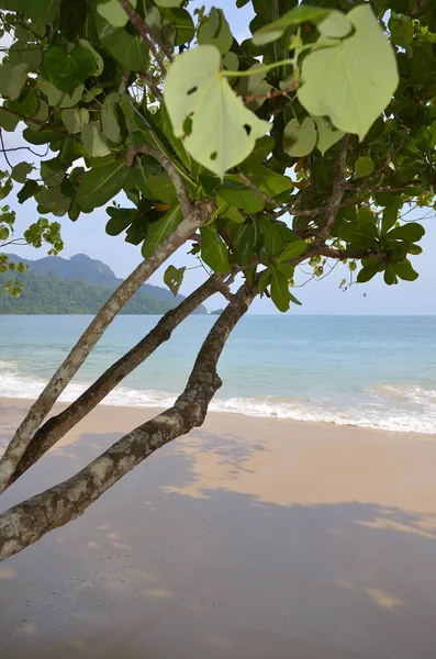 Στο νησί Langkawi, Μαλαισία — Φωτογραφία Αρχείου