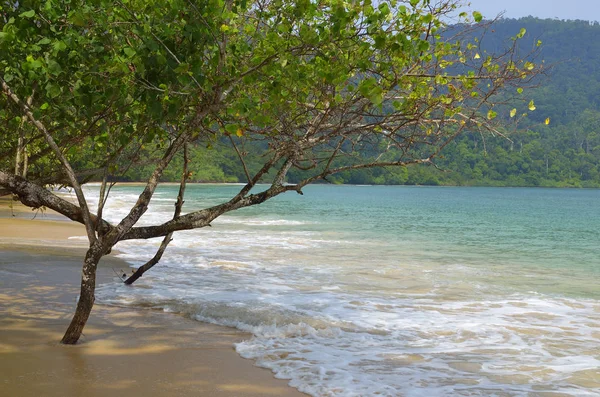 Στο νησί Langkawi, Μαλαισία — Φωτογραφία Αρχείου