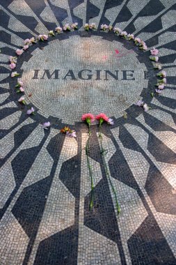 new York'taki central Park'ta çilek alanları