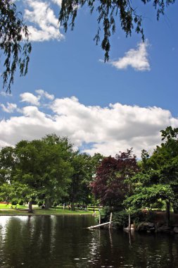 boston halk bahçesi