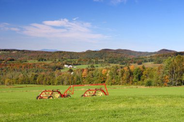 Sonbaharda yapraklar, Vermont, ABD