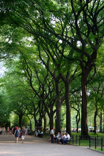 New York Central Park, Estados Unidos —  Fotos de Stock