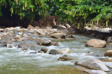 Janda Baik nehir, Malezya