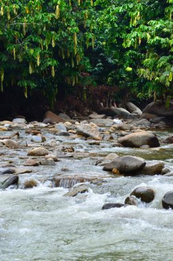 Janda Baik nehir, Malezya