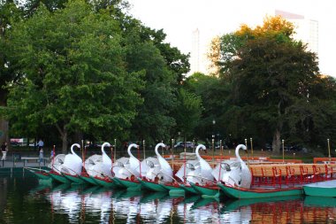 Boston Common ve kamu Bahçe, ABD