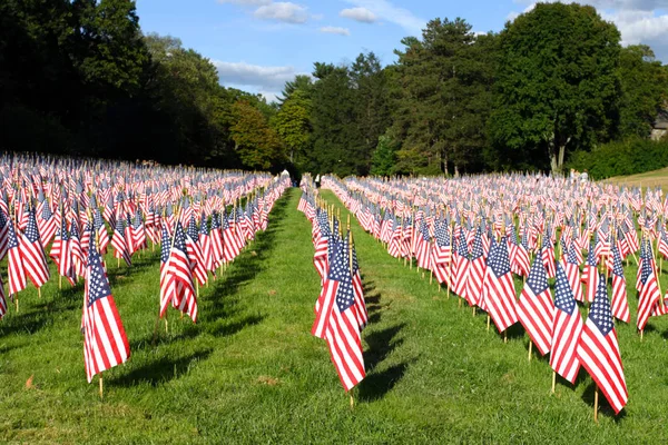 Campo de banderas americanas — Foto de Stock