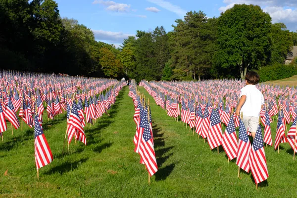 Campo de banderas americanas — Foto de Stock