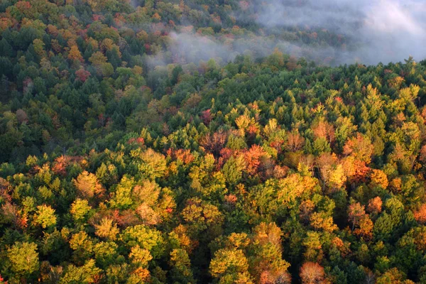 An aerial view of a hot air balloon floating over the Vermont country side — Stock Photo, Image