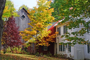 Sonbaharda yapraklar, Vermont, ABD