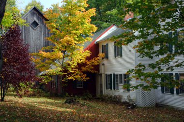 Sonbaharda yapraklar, Vermont, ABD