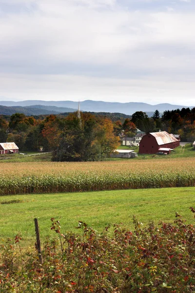 Fall gebladerte in Vermont, Usa — Stockfoto