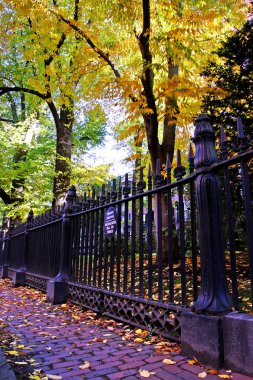 Beacon Hill zengin bir Federal stilinde sıraevler, mahallemiz bazı Amerika Birleşik Devletleri'nde en yüksek özellik değerleri ile