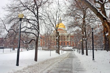 Boston, Massachusetts, ABD 'de kar yağışının stok görüntüsü