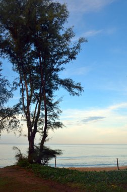 Mai khao beach, Phuket, Tayland, mavi gökyüzü ile güzel bir plaj
