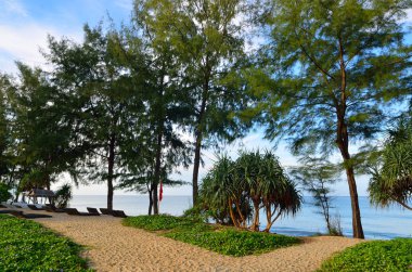 Mai khao beach, Phuket, Tayland, mavi gökyüzü ile güzel bir plaj
