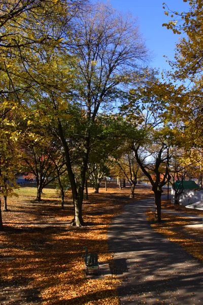 Stock Image Fall Foliage Boston — Stock Photo, Image