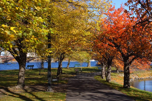 Stock Image Fall Foliage Boston — Stock Photo, Image