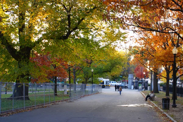 Sonbaharda Yapraklar Boston Public Garden Stok Görüntü — Stok fotoğraf