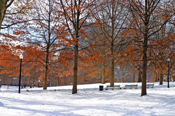 Archivbild Eines Schneereichen Winters Boston Massachusetts Usa — Stockfoto