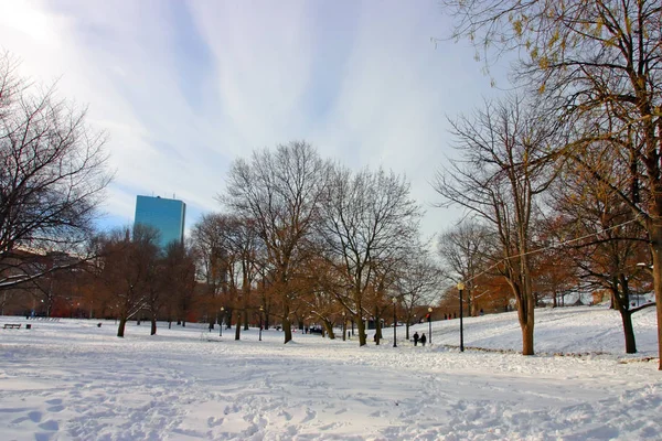 Stock Bild Snöande Vinter Vid Boston Massachusetts Usa — Stockfoto
