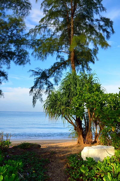 Hermosa playa con cielo azul en la playa de Mai khao, Phuket, Tailandia —  Fotos de Stock