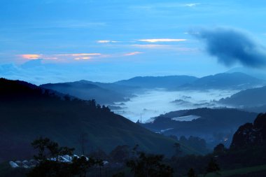 Cameron Highland, Malaysi