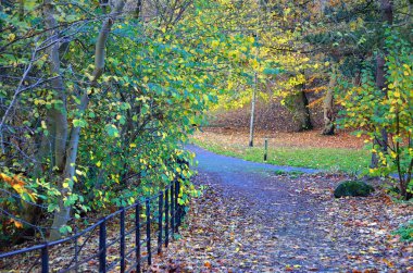 Kelvingrove Park - Glasgow, İskoçya