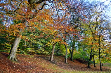 Kelvingrove Park - Glasgow, İskoçya