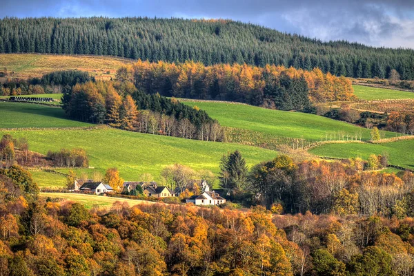 Pień obraz Loch Lomond, Szkocja — Zdjęcie stockowe