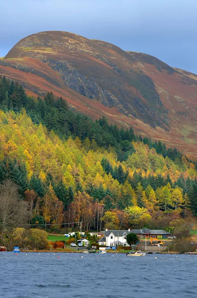 Pień obraz Loch Lomond, Szkocja — Zdjęcie stockowe